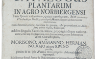  Titelseite der Flora Volckamers (1700) | © trialsanderrors - flickr