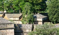 In der Mitte der mächtigen Wallanlagen der Vestnertorbastei steht ein Birnbaum | © Dr. Stefan Böger/ RMfr