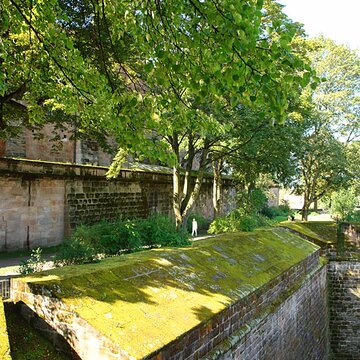 Lebensraum Mauer beim Burggarten | © Dr. Stefan Böger/ RMfr